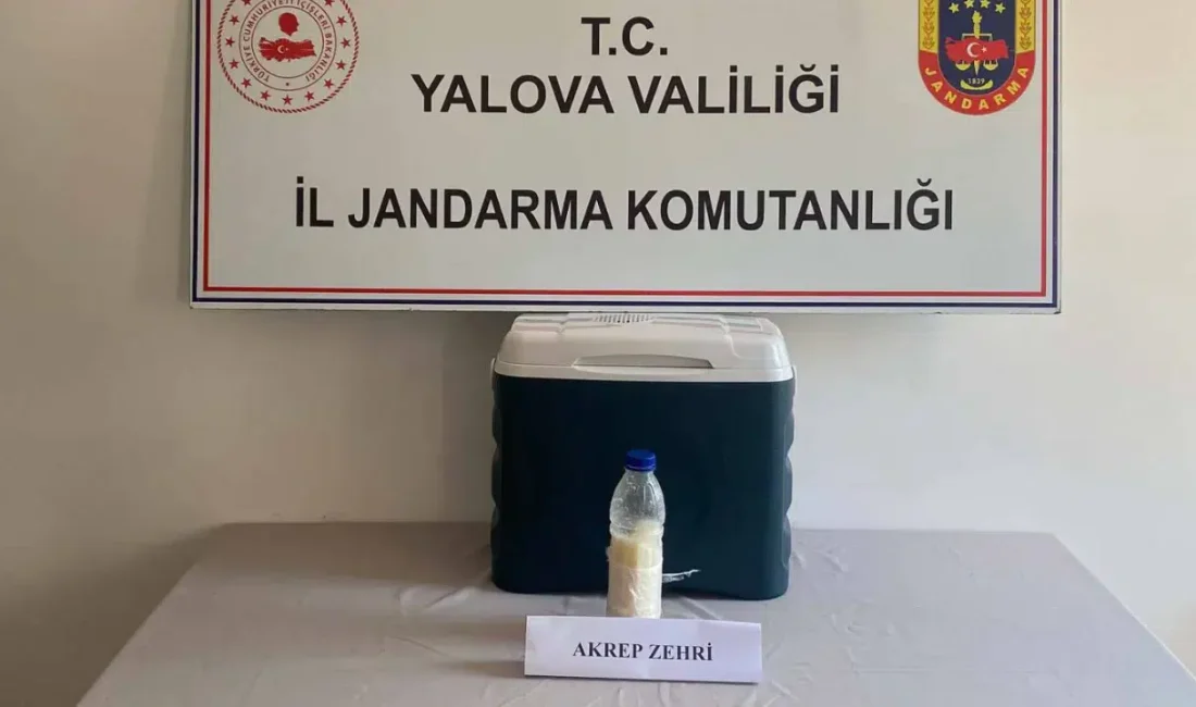 Yalova’da jandarmanın düzenlediği nefes kesen operasyonda, Suriye sınırından yasa dışı