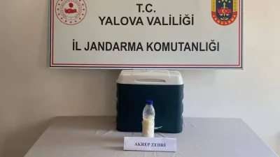 Yalova’da jandarmanın düzenlediği nefes kesen operasyonda, Suriye sınırından yasa dışı
