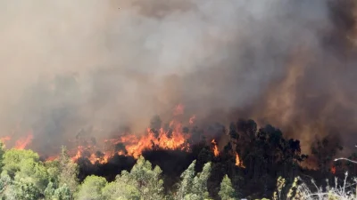 Tarım ve Orman Bakanlığı, yaz aylarında artan orman yangınlarına karşı