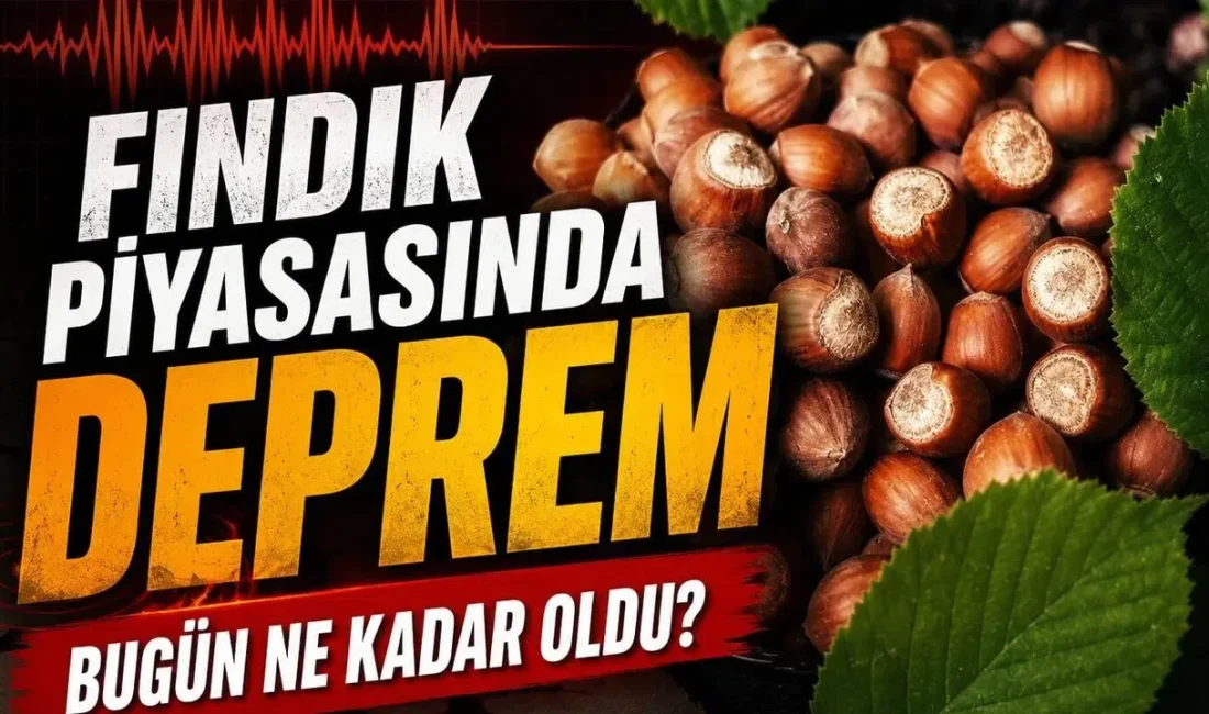Karadeniz ve Marmara bölgesinin en önemli geçim kaynağı olan fındık