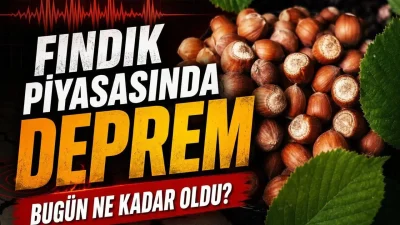 Karadeniz ve Marmara bölgesinin en önemli geçim kaynağı olan fındık