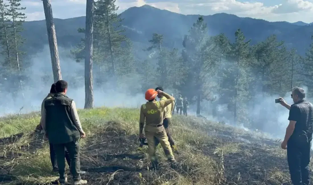 Kastamonu’nun Tosya ilçesinde ormanlık alanda başlayan yangın, havadan ve karadan