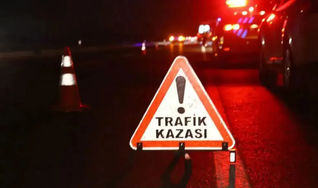 Sivas’ta kontrolden çıkan bir panelvan aracın şarampole devrilmesi sonucu meydana