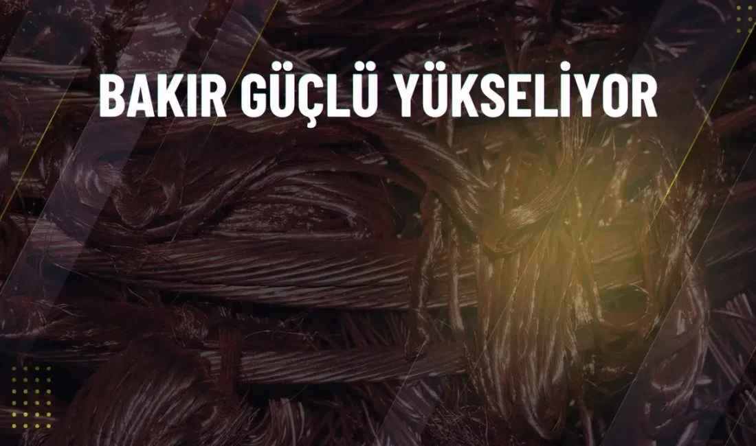 Küresel piyasalarda “kırmızı metal” olarak bilinen bakır, arz endişeleri ve