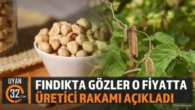 Karadeniz bölgesinin en önemli geçim kaynağı olan fındıkta hasat dönemi