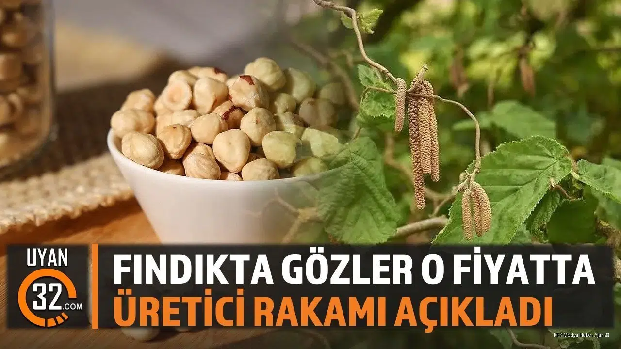 Fındık hasat sezonu hızla yaklaşırken, milyonlarca üreticinin gözü kulağı yeni