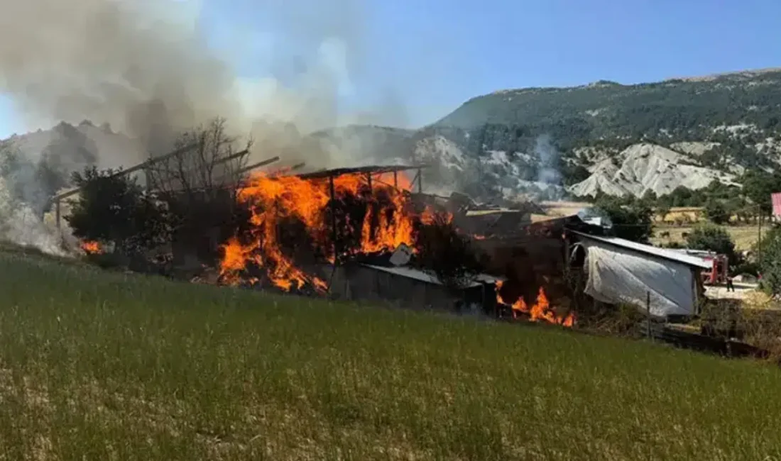 Bolu’nun Mudurnu ilçesinde yükselen alevler köy halkına korku dolu anlar