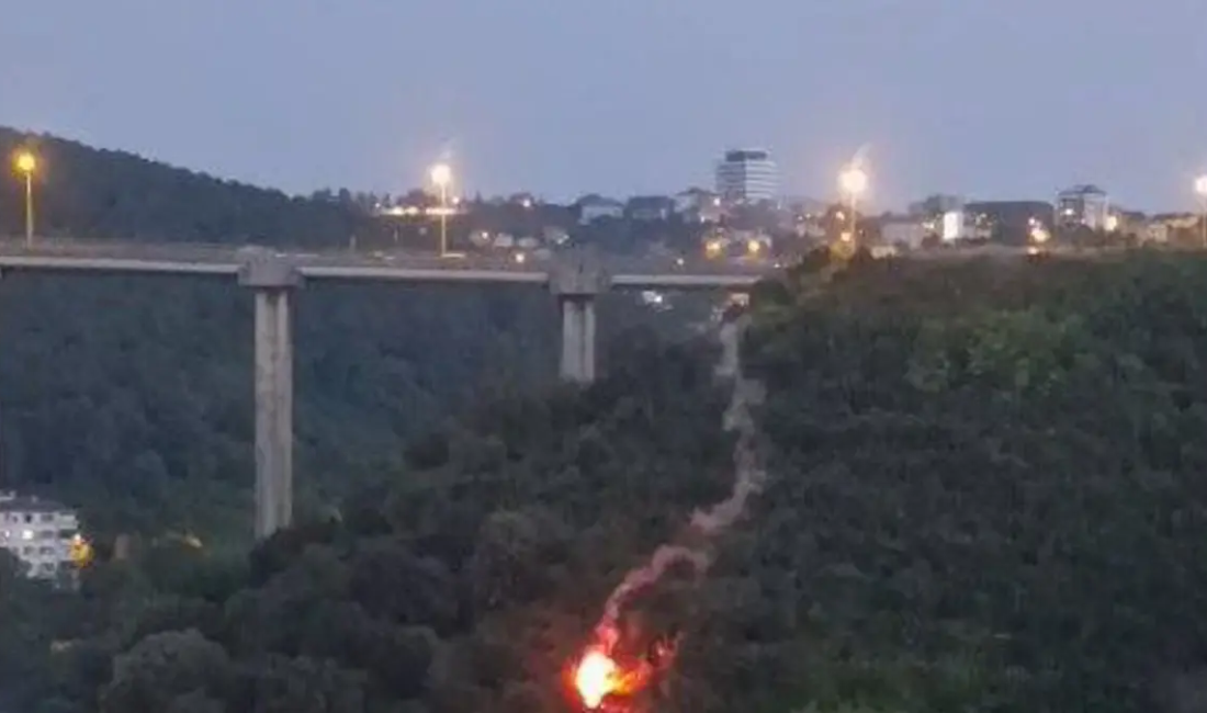 İstanbul Valiliği, artan hava sıcaklıkları ve orman yangını riskine karşı