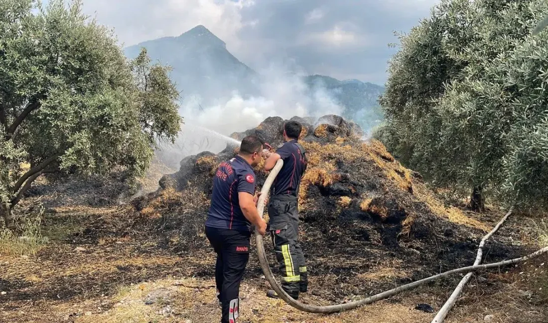 Osmaniye’nin Dereli köyünde bir evin bahçesinde aniden yükselen alevler ortalığı