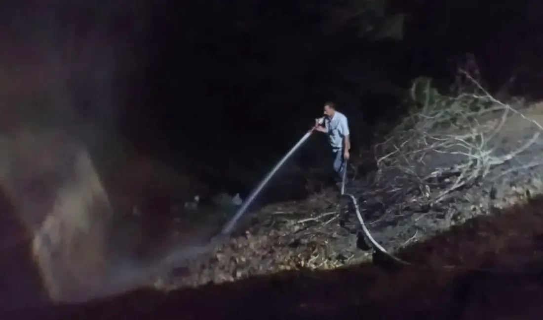 Zonguldak’ın Alaplı ilçesinde, Gümeli baraj yolu üzerinde yükselen alevler çevre
