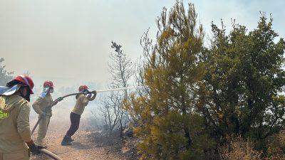 Balıkesir’in Gömeç ilçesinde başlayan ve rüzgarın etkisiyle yayılan orman yangınına
