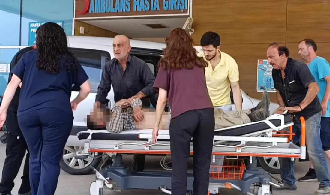 Bursa’nın İnegöl ilçesinde mantar toplamak amacıyla ormanlık alana giden cami