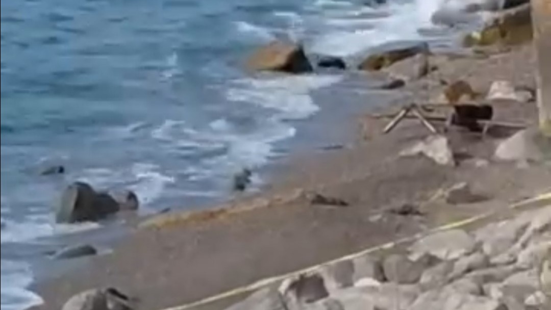 Zonguldak’ın Filyos sahilinde kıyıya vuran askeri insansız hava aracı bölgede