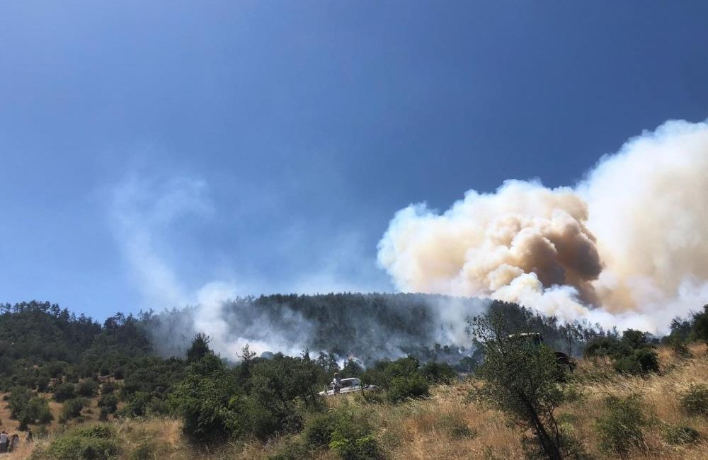 Balıkesir’in Kepsut ilçesinde arazide başlayan ve rüzgarın etkisiyle hızla ormanlık