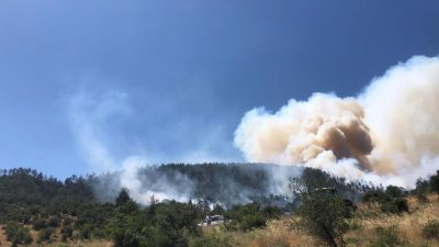 Balıkesir’in Kepsut ilçesinde arazide başlayan ve rüzgarın etkisiyle hızla ormanlık
