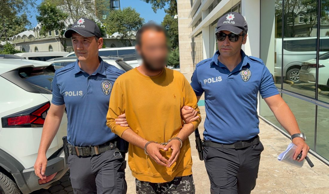 Samsun’un İlkadım ilçesinde esnafın gözü gibi baktığı kediye kaldırımda yürürken