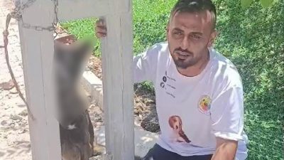 Hatay’ın Kırıkhan ilçesinde yaşanan ve duyanların kanını donduran olayda, sahipli
