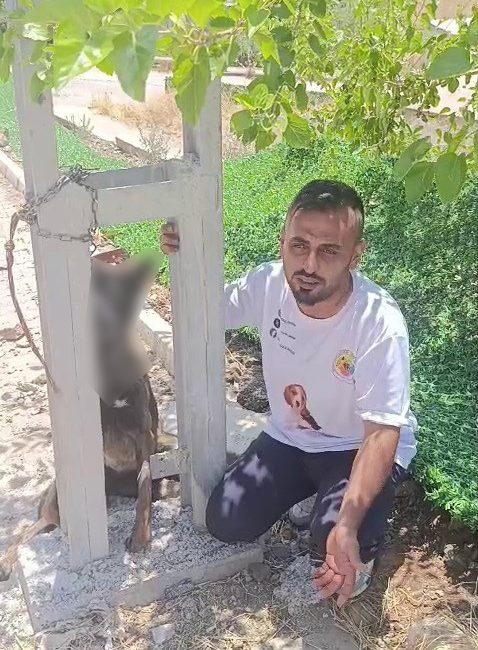 Hatay’ın Kırıkhan ilçesinde yaşanan ve duyanların kanını donduran olayda, sahipli