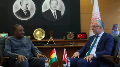 Çalışma ve Sosyal Güvenlik Bakanı Vedat Işıkhan, Gana Çalışma, İşler