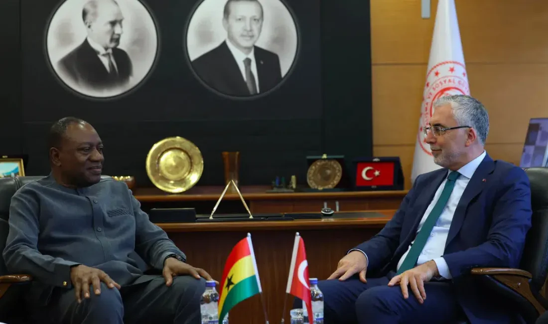 Çalışma ve Sosyal Güvenlik Bakanı Vedat Işıkhan, Gana Çalışma, İşler