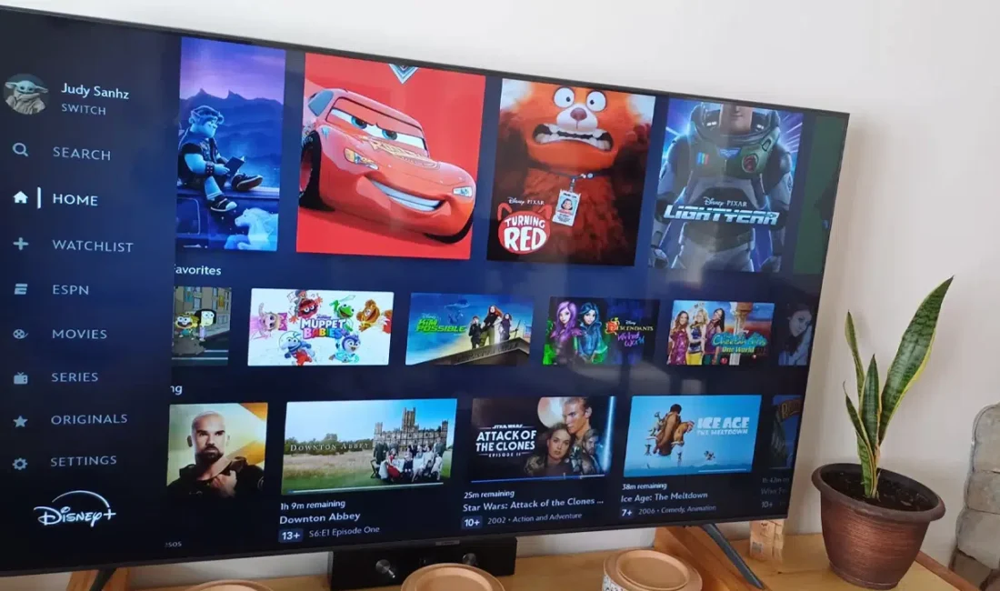 Dünyanın en popüler dijital yayın platformlarından biri olan Disney+, izleyicilerini