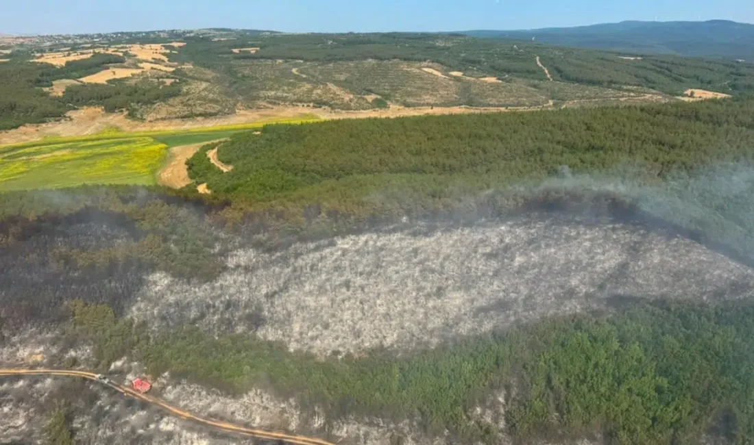 Tekirdağ’ın Malkara ilçesinde ciğerlerimizi yakan orman yangını, havadan ve karadan