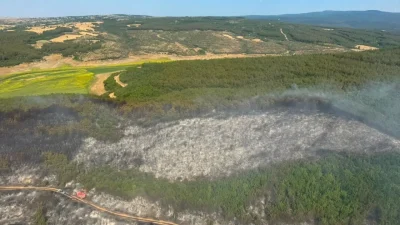 Tekirdağ’ın Malkara ilçesinde ciğerlerimizi yakan orman yangını, havadan ve karadan