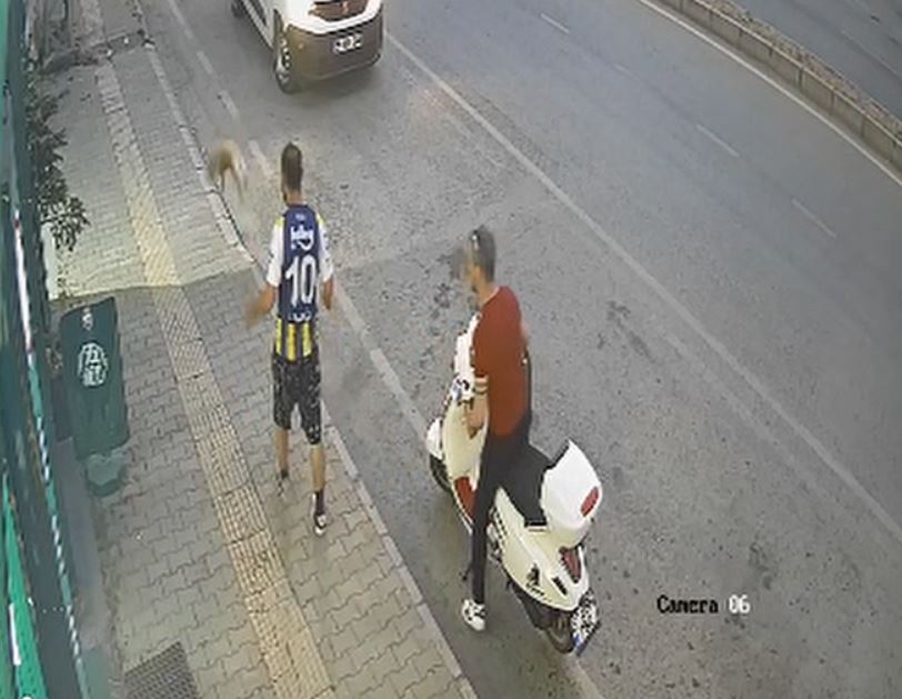 Samsun’da kaldırımda yürürken karşısına çıkan savunmasız kediyi acımasızca tekmeleyen ve