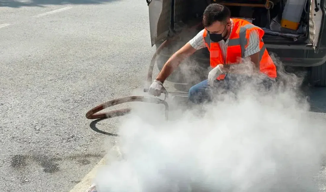 Bilecik’in Söğüt ilçesinde sinek ve larva popülasyonuna karşı başlatılan kapsamlı