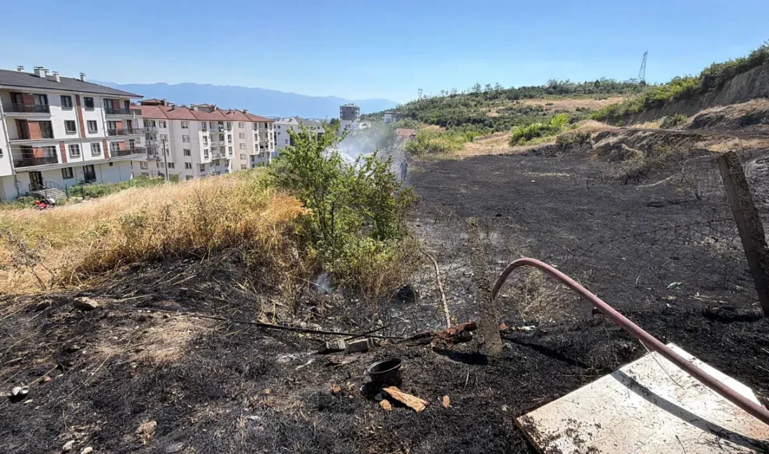 Düzce’de kuru otların bulunduğu alanda başlayan ve rüzgarın etkisiyle hızla