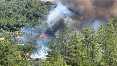 Türkiye, hava sıcaklıklarının rekor seviyelere ulaşmasıyla birlikte yeniden orman yangınları