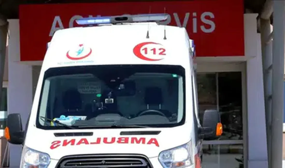Bilecik’in Gölpazarı ilçesinde bahçesindeki ağaçtan kiraz toplamak isteyen 68 yaşındaki