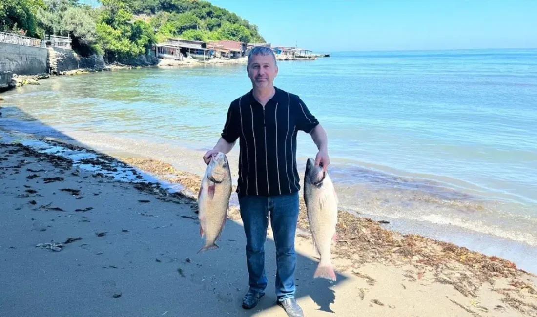 Sinop’ta denize açılan deneyimli balıkçılar, Karadeniz’in derinliklerinde eşine son derece