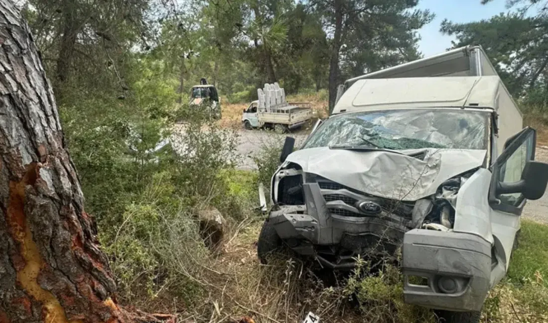 Antalya’nın Alanya ilçesinde kontrolden çıkan bir kamyonetin yol kenarındaki ağaca