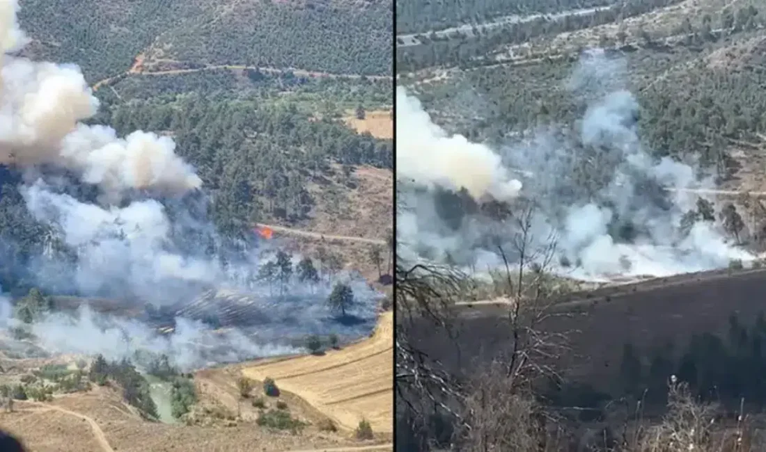 Bursa’nın Büyükorhan ilçesinde tarım arazisinde başlayarak rüzgarın da etkisiyle hızla