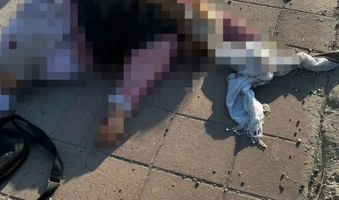 Mardin’in Nusaybin ilçesinde meydana gelen feci kazada, dev tırın çarptığı