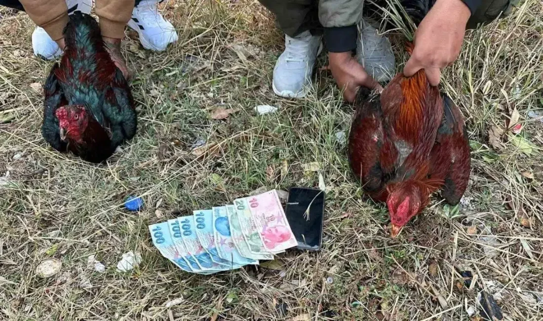 İstanbul Büyükçekmece’de “Hayvanları Koruma Derneği” adı altında faaliyet gösteren bir