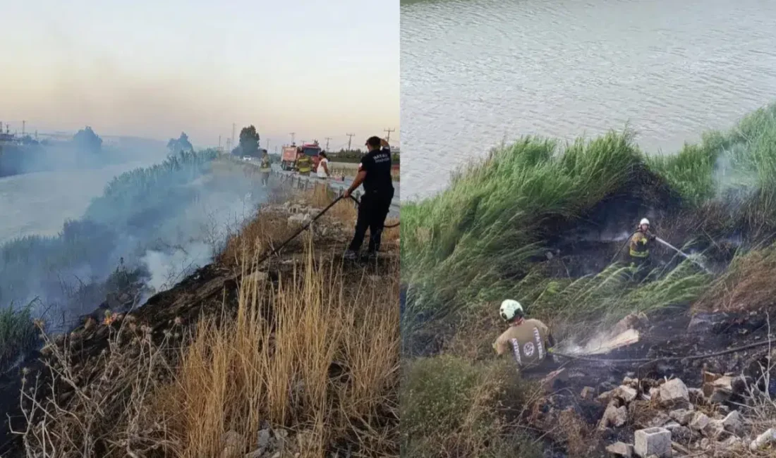 Hatay’ın Antakya ilçesinde Asi Nehri kenarındaki sazlık alanda aniden yükselen