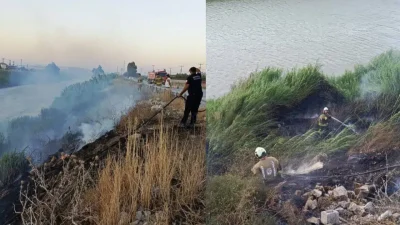Hatay’ın Antakya ilçesinde Asi Nehri kenarındaki sazlık alanda aniden yükselen