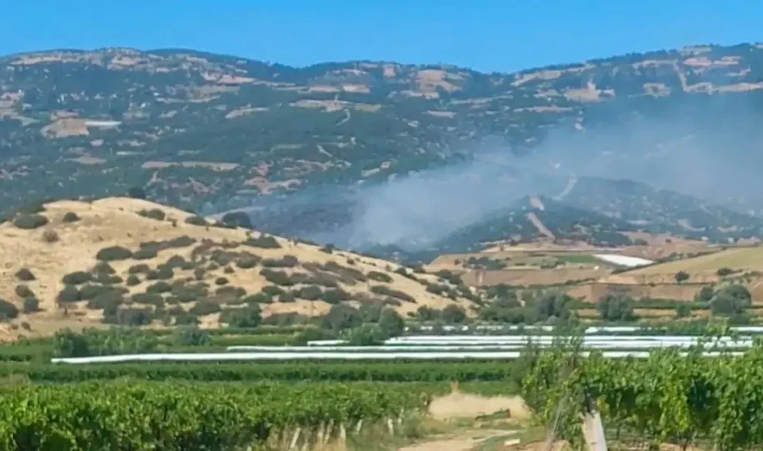 Manisa’nın Sarıgöl ilçesinde ormanlık alanda başlayan yangın bölgede büyük bir