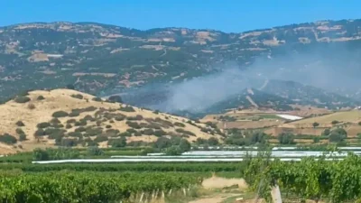 Manisa’nın Sarıgöl ilçesinde henüz belirlenemeyen bir nedenle çıkan orman yangını