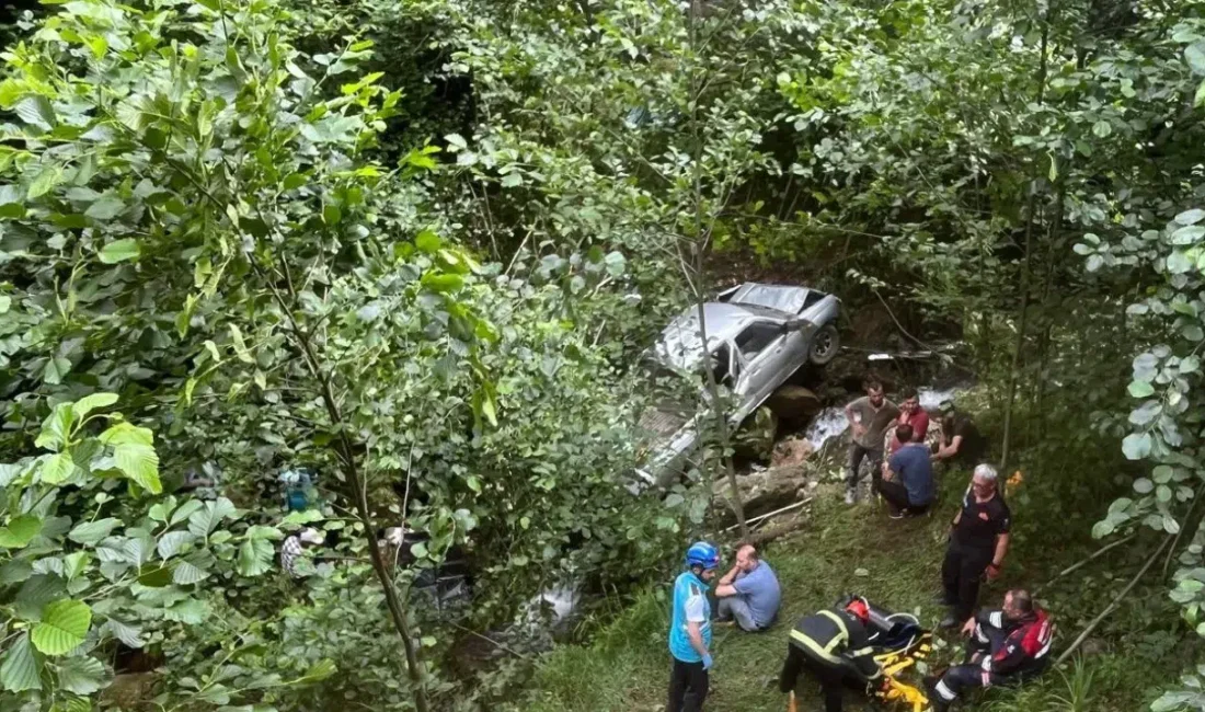 Trabzon’un Sürmene ilçesinde kontrolden çıkan bir kamyonetin fındık bahçesine yuvarlanması
