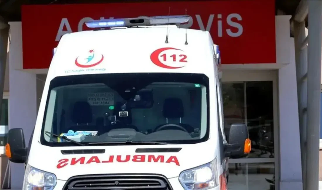 Aydın’ın Söke ilçesinde kontrolden çıkan bir otomobilin refüjdeki ağaca çarpması