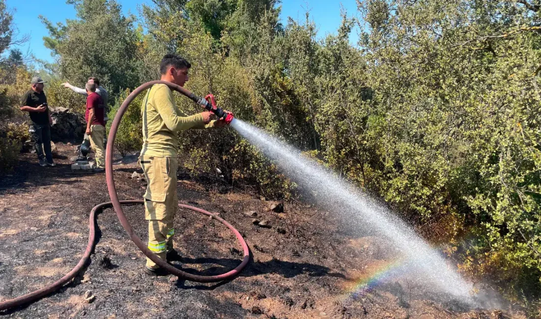 Muğla’nın gözde turizm merkezi Bodrum’da yerleşim yerlerine metreler kala başlayan
