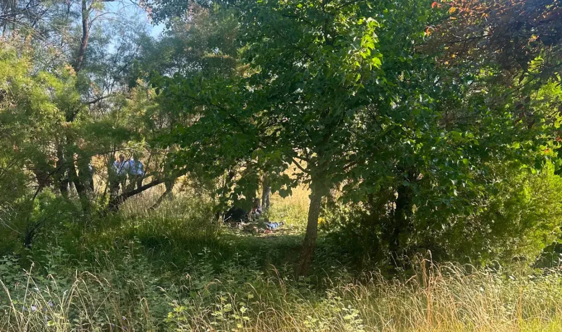 Eskişehir Osmangazi Üniversitesi yakınlarında bulunan ağaçlık alanda acı bir olay