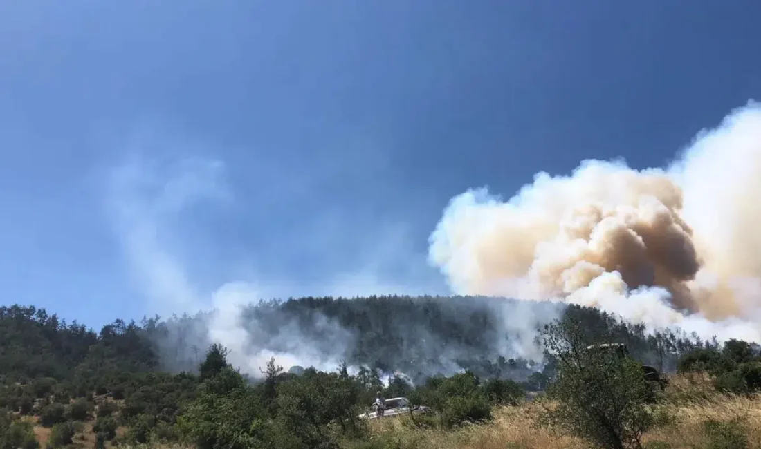 Balıkesir’in Kepsut ilçesinde öğleden sonra başlayan arazi yangını rüzgarın da