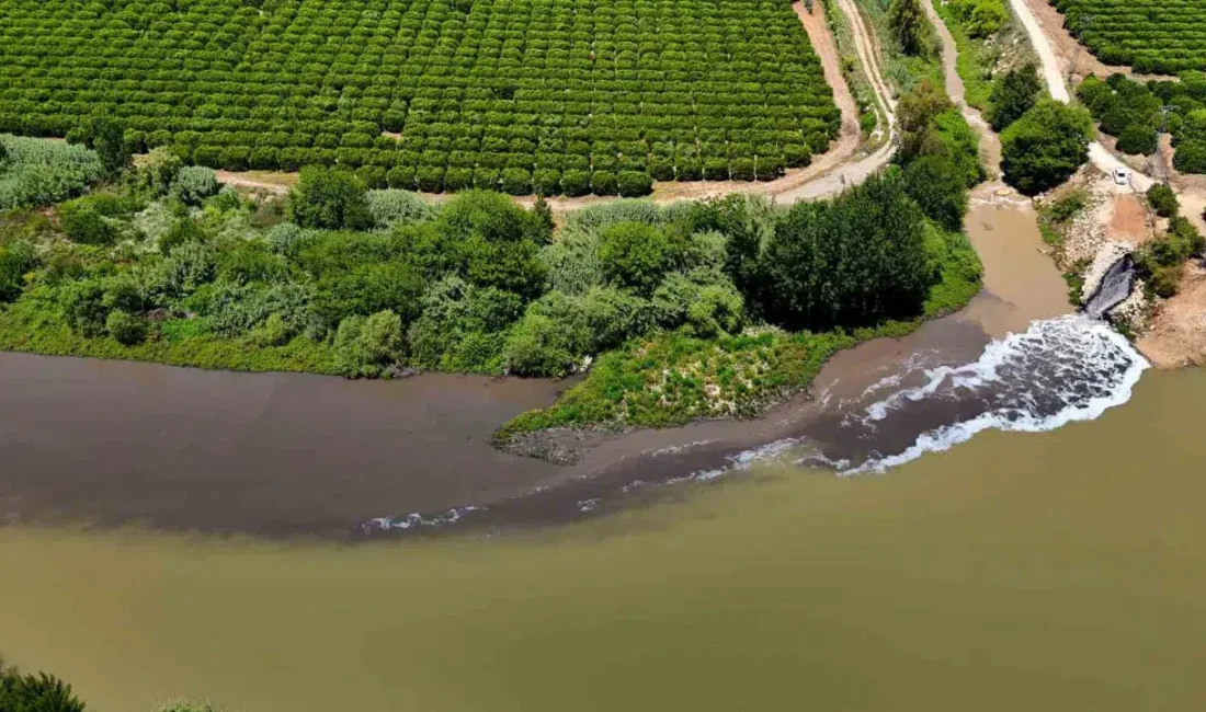Kahramanmaraş’ın Elbistan ilçesinde Ceyhan Nehri’nde bulunan erkek cesedi bölgede büyük