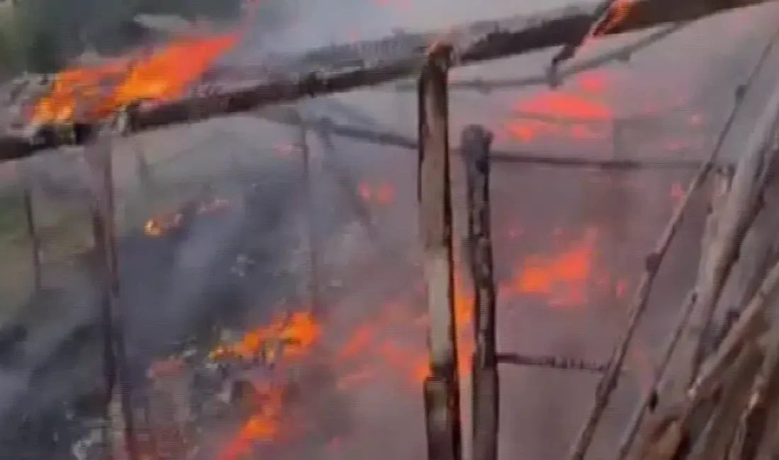 Bilecik’te bir ahırda başlayan ve rüzgarın etkisiyle ormanlık alana sıçrama