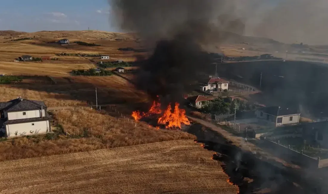 Kırıkkale’nin Ahılı köyünde sorumsuzca atılan bir sigara izmariti, rüzgarın da