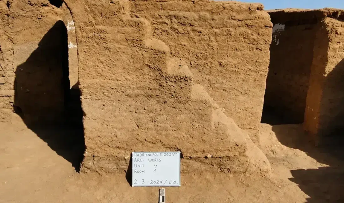 Mısır’ın gizemli batı çölünde gerçekleştirilen arkeolojik kazılar, ezber bozan bir